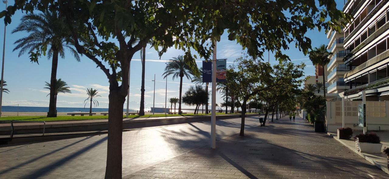 Ola Marina Solo Familias Apartment Playa de Gandia Екстериор снимка