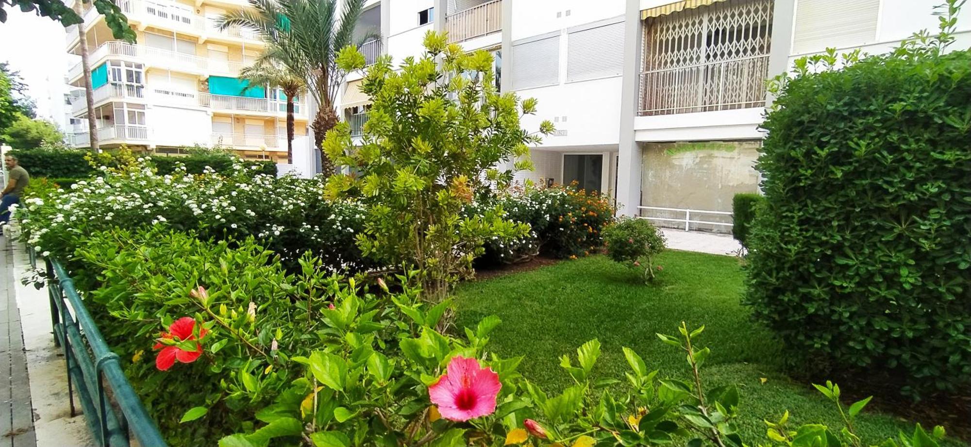 Ola Marina Solo Familias Apartment Playa de Gandia Екстериор снимка
